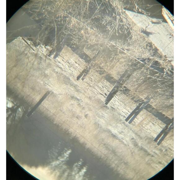 Gosky 12x55 High Definition Monocular Telescope and Quick Smartphone Holder BNIB - Picture 7 of 7